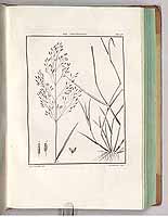  no thumbnail available