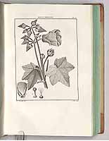  no thumbnail available