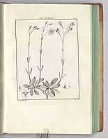  no thumbnail available