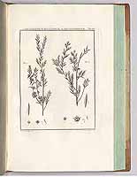  no thumbnail available