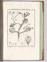  no thumbnail available