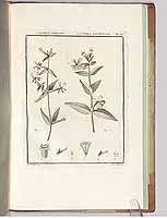  no thumbnail available