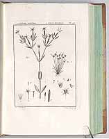  no thumbnail available