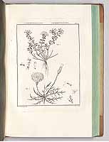  no thumbnail available