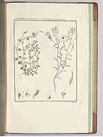  no thumbnail available