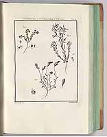  no thumbnail available