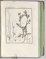  no thumbnail available