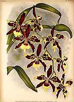  no thumbnail available