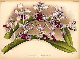  no thumbnail available