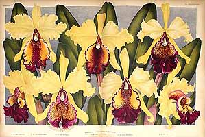  no thumbnail available