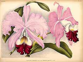  no thumbnail available