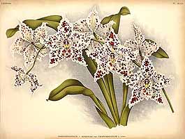  no thumbnail available