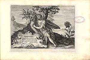  no thumbnail available