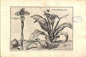  no thumbnail available