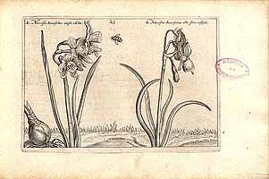  no thumbnail available