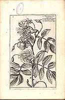  no thumbnail available