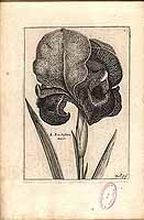  no thumbnail available