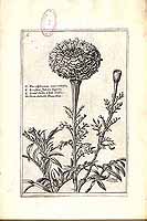  no thumbnail available