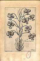  no thumbnail available