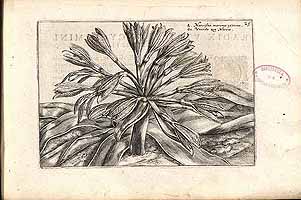  no thumbnail available