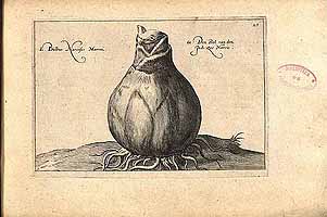  no thumbnail available