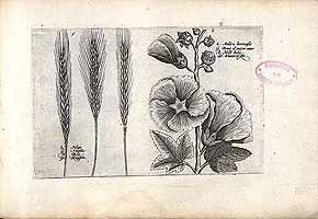  no thumbnail available