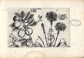  no thumbnail available