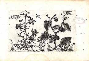  no thumbnail available