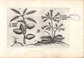  no thumbnail available