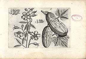  no thumbnail available