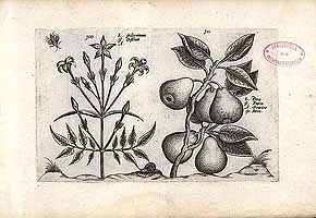  no thumbnail available