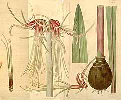  no thumbnail available