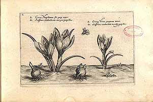  no thumbnail available