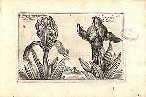  no thumbnail available