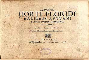  no thumbnail available