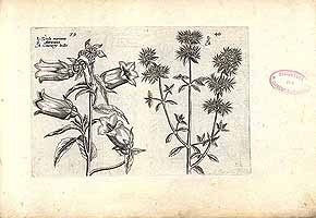  no thumbnail available