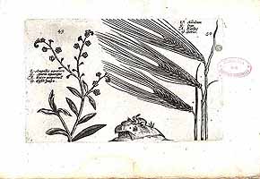  no thumbnail available