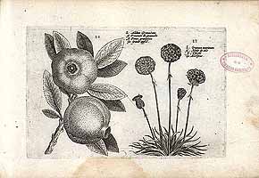  no thumbnail available