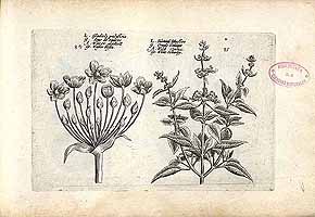  no thumbnail available