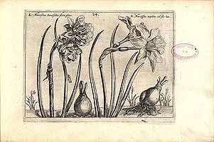  no thumbnail available