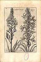  no thumbnail available