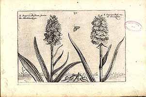  no thumbnail available