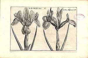  no thumbnail available