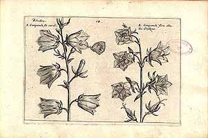  no thumbnail available