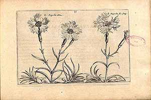  no thumbnail available