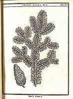  no thumbnail available