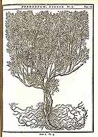  no thumbnail available