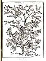  no thumbnail available