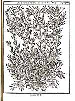  no thumbnail available