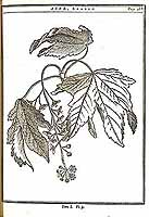  no thumbnail available